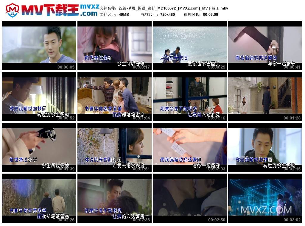 沈波-梦魇_国语_流行_MD103672